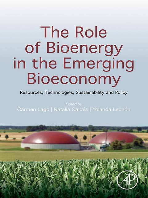Role of Bioenergy in the Emerging Bioeconomy - 