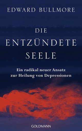 Die entzündete Seele