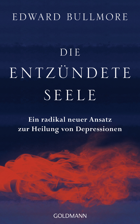 Die entz&uuml;ndete Seele - Edward Bullmore