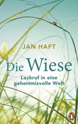 Die Wiese - Jan Haft