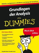 Grundlagen der Analysis f&uuml;r Dummies - Krystle Rose Forseth, Christopher Burger, Michelle Rose Gilman, Deborah J. Rumsey, Mark Ryan