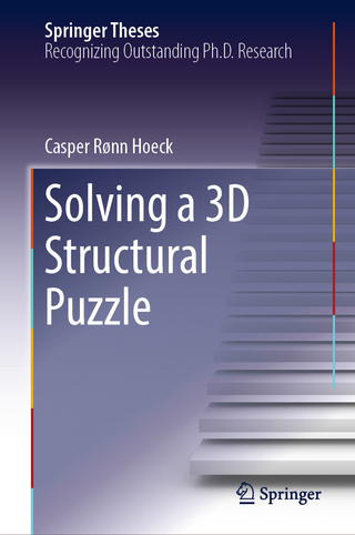 Solving a 3D Structural Puzzle