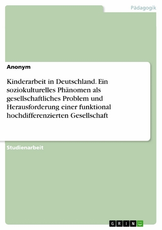 Kinderarbeit in Deutschland. Ein soziokulturelles Phänomen als gesellschaftliches Problem und Herausforderung einer funktional hochdifferenzierten Gesellschaft