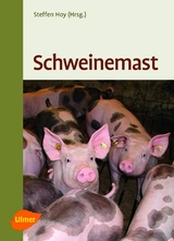 Schweinemast - Steffen Hoy