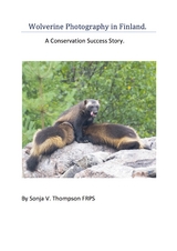 Wolverine Photography in Finland: A Conservation Success Story - Sonja V. Thompson