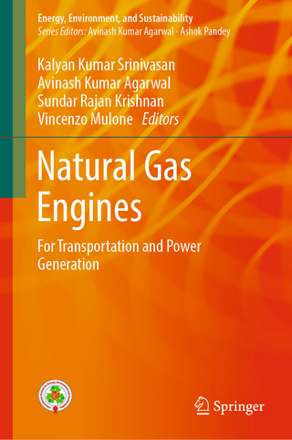 Natural Gas Engines