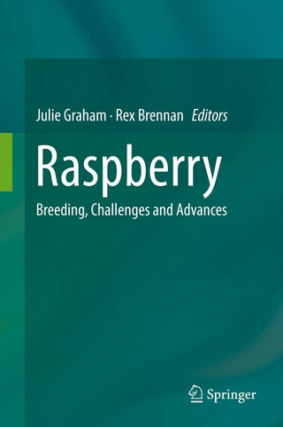 Raspberry