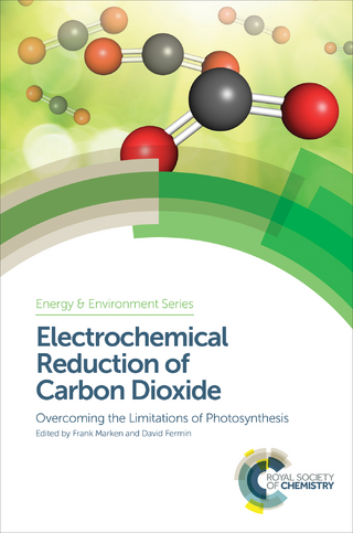 Electrochemical Reduction of Carbon Dioxide
