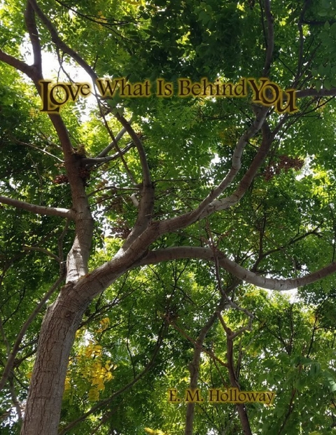 Love What Is Behind You -  E. M. Holloway