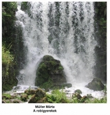 A robigyerekek - M&aacute;rta M&uuml;ller