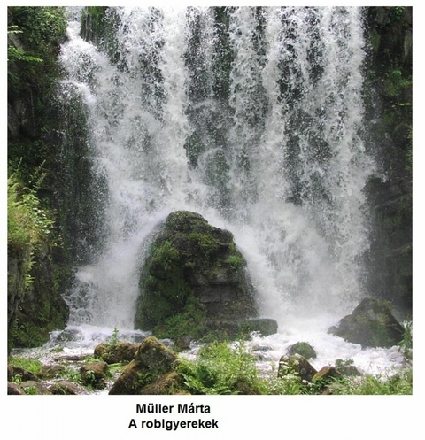 A robigyerekek - M&aacute;rta M&uuml;ller