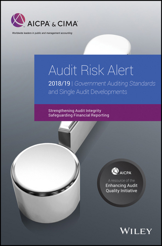 Audit Risk Alert