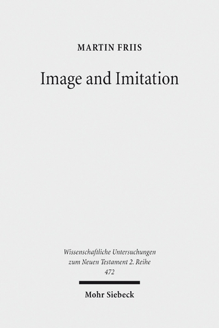Image and Imitation