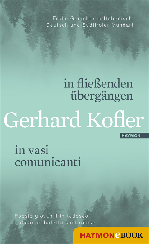 in flie&szlig;enden &uuml;berg&auml;ngen | in vasi comunicanti - Gerhard Kofler