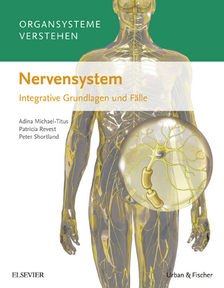 Organsysteme verstehen: Nervensystem