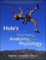 Hole's Essentials of Human Anatomy & Physiology - Shier, David; Butler, Jackie; Lewis, Ricki