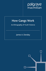 How Gangs Work - J. Densley