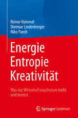 Energie,  Entropie, Kreativit&auml;t - Reiner K&uuml;mmel, Dietmar Lindenberger, Niko Paech