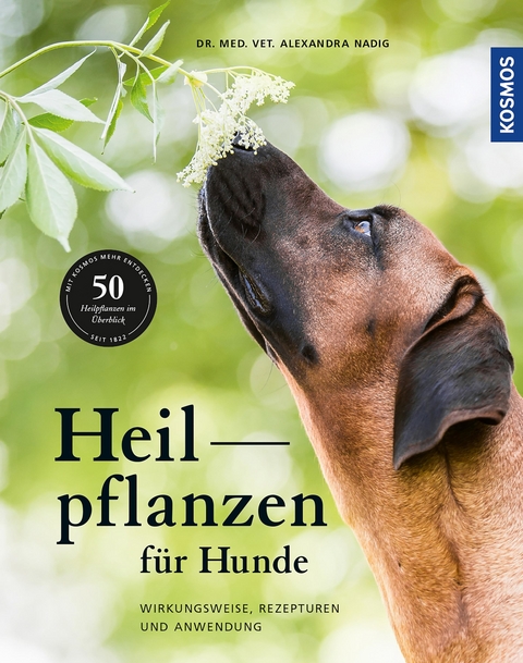 Heilpflanzen für Hunde - Alexandra Nadig