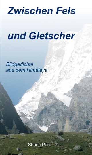 Zwischen Fels und Gletscher