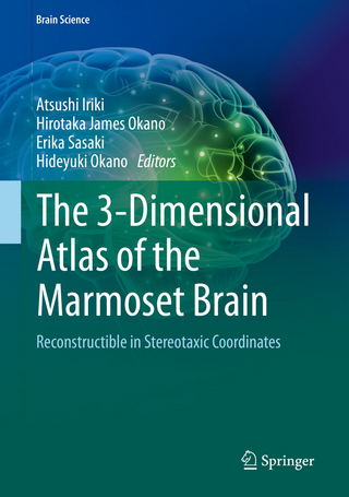 The 3-Dimensional Atlas of the Marmoset Brain