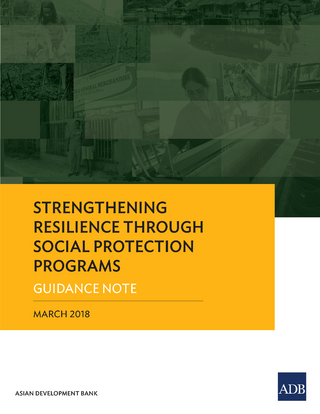 Strengthening Resilience through Social Protection Programs