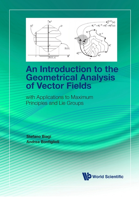 INTRODUCTION TO THE GEOMETRICAL ANALYSIS OF VECTOR FIELDS - Stefano Biagi, Andrea Bonfiglioli