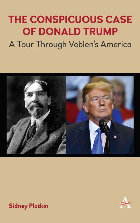Veblen’s America - Sidney Plotkin