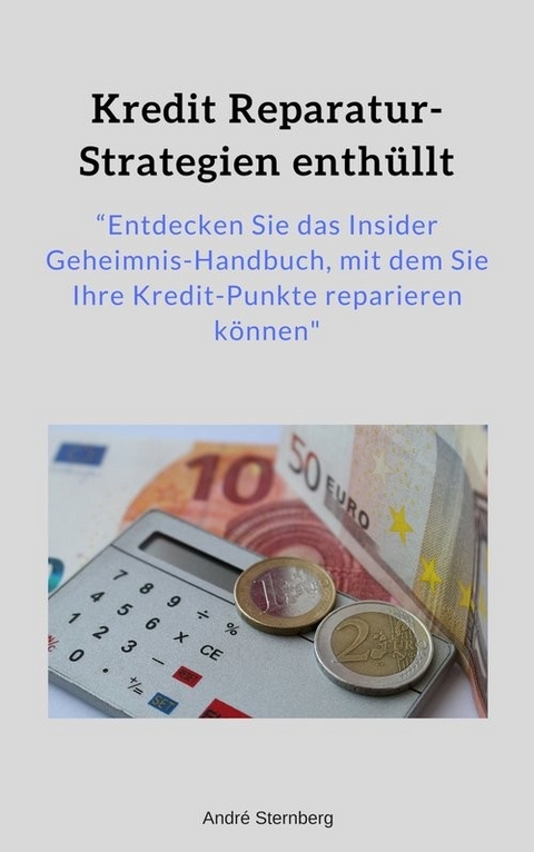 Kredit Reparatur-Strategien enth&uuml;llt - Andre Sternberg