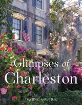 Glimpses of Charleston -  David R. AvRutick