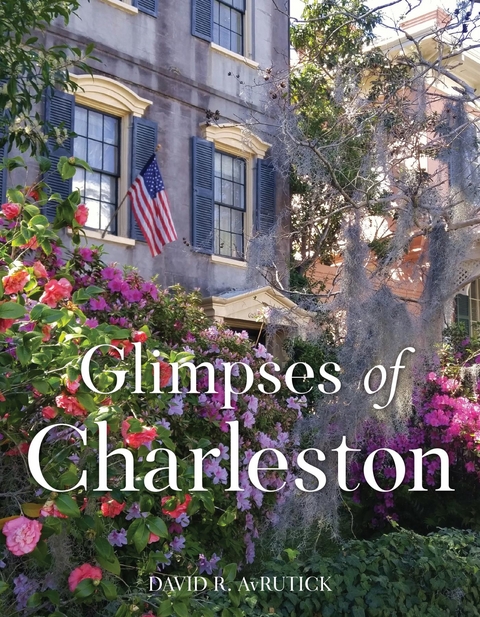Glimpses of Charleston -  David R. AvRutick