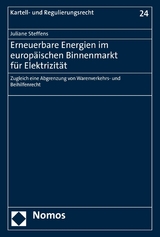 Erneuerbare Energien im europ&auml;ischen Binnenmarkt f&uuml;r Elektrizit&auml;t - Juliane Steffens
