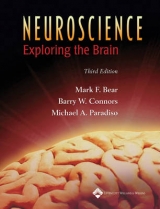 NEUROSCIENCE 3E HARDCOVER - Bear, Mark F.; Connors, Barry W.; Paradiso, Michael A.