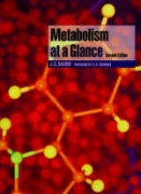 Metabolism at a Glance - Salway, J. G.