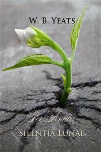 Per Amica Silentia Lunae -  W.B Yeats