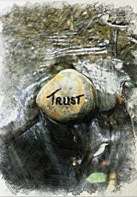 Trust -  Arnika Bodenbach