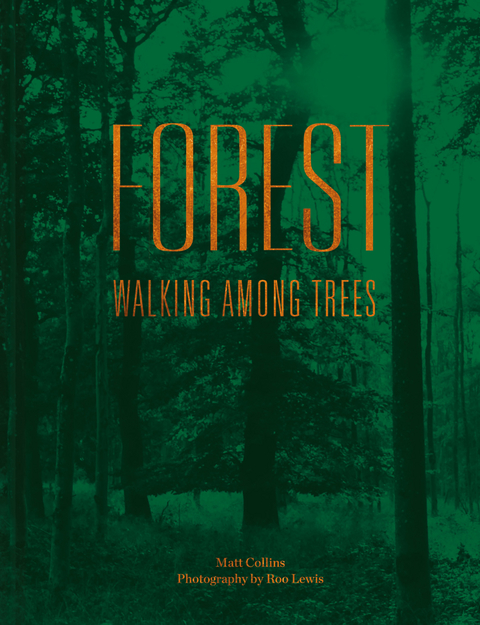 Forest -  Matt Collins
