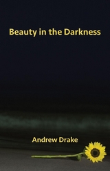 Beauty in the Darkness - Andrew Drake