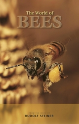 The World of Bees -  Rudolf Steiner