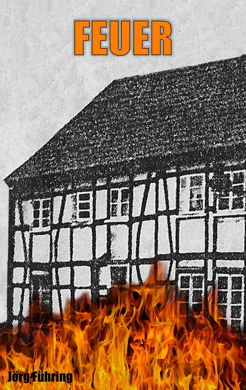 Feuer - J&ouml;rg F&uuml;hring