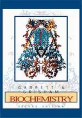 Biochemistry - Garrett, Reginald H.; Grisham, Charles M.