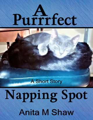 A Purrrfect Napping Spot