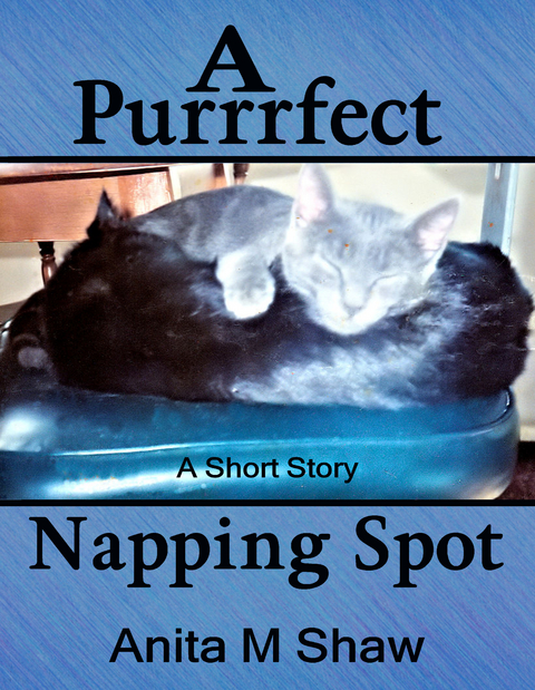 A Purrrfect Napping Spot -  Anita M Shaw