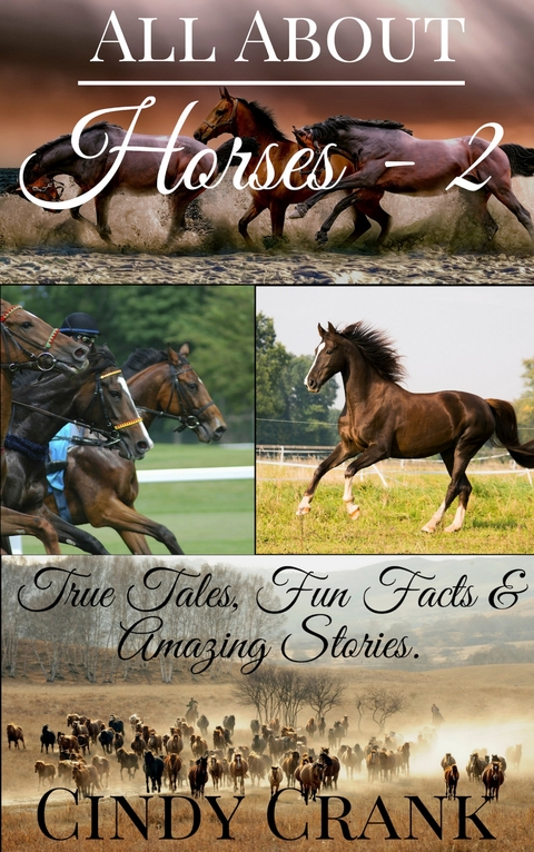 All about Horses - 2 -  Cindy Crank