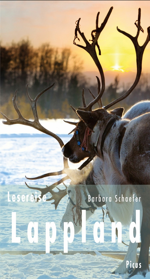 Lesereise Lappland - Barbara Schaefer