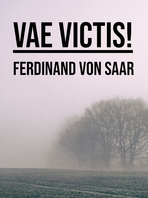Vae victis! - Ferdinand von Saar