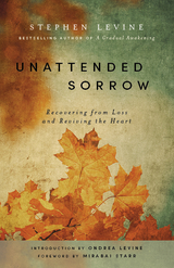 Unattended Sorrow -  Stephen Levine