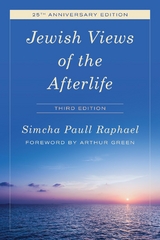 Jewish Views of the Afterlife -  Simcha Paull Raphael
