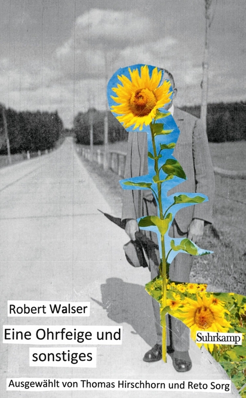Eine Ohrfeige und sonstiges - Robert Walser