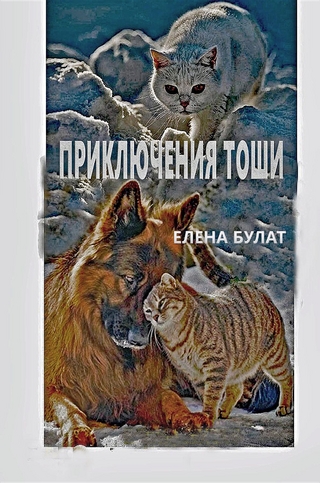 Приключения Кота Тоши